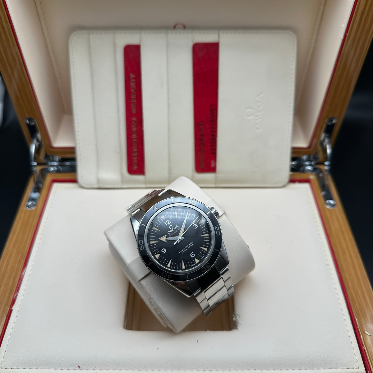 OMEGA SEAMASTER 41mm LIQUID METAL FULL SET 2021